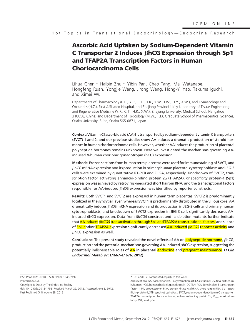 Pdf Ascorbic Acid Uptaken By Sodium Dependent Vitamin C Transporter 2 Induces Bhcg Expression Through Sp1 And Tfap2a Transcription Factors In Human Choriocarcinoma Cells