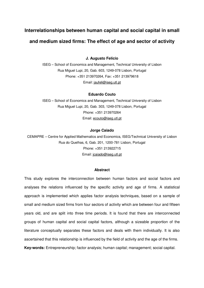 Pdf Interrelationships Between Human Capital And Social Capital In Small And Medium Sized Firms The Effect Of Age And Sector Of Activity