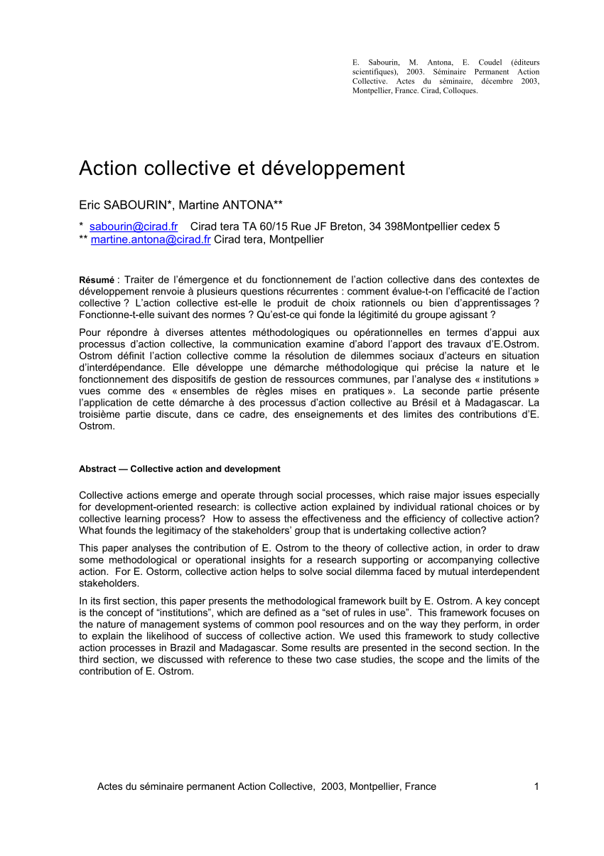 ch1 Synthèse - Orgaisation de L'action Collective, PDF