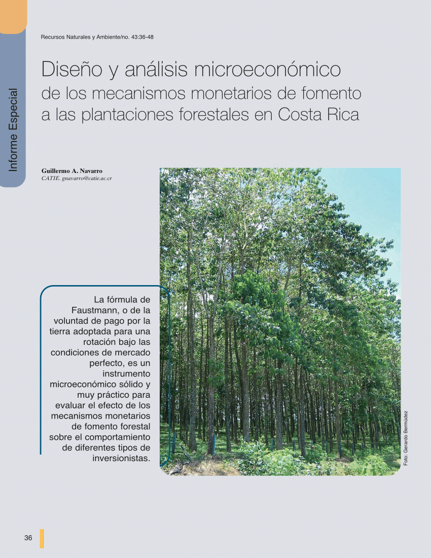PDF) Diseño y análisis microeconómico de los mecanismos monetarios de  fomento a las plantaciones forestales en Costa Rica