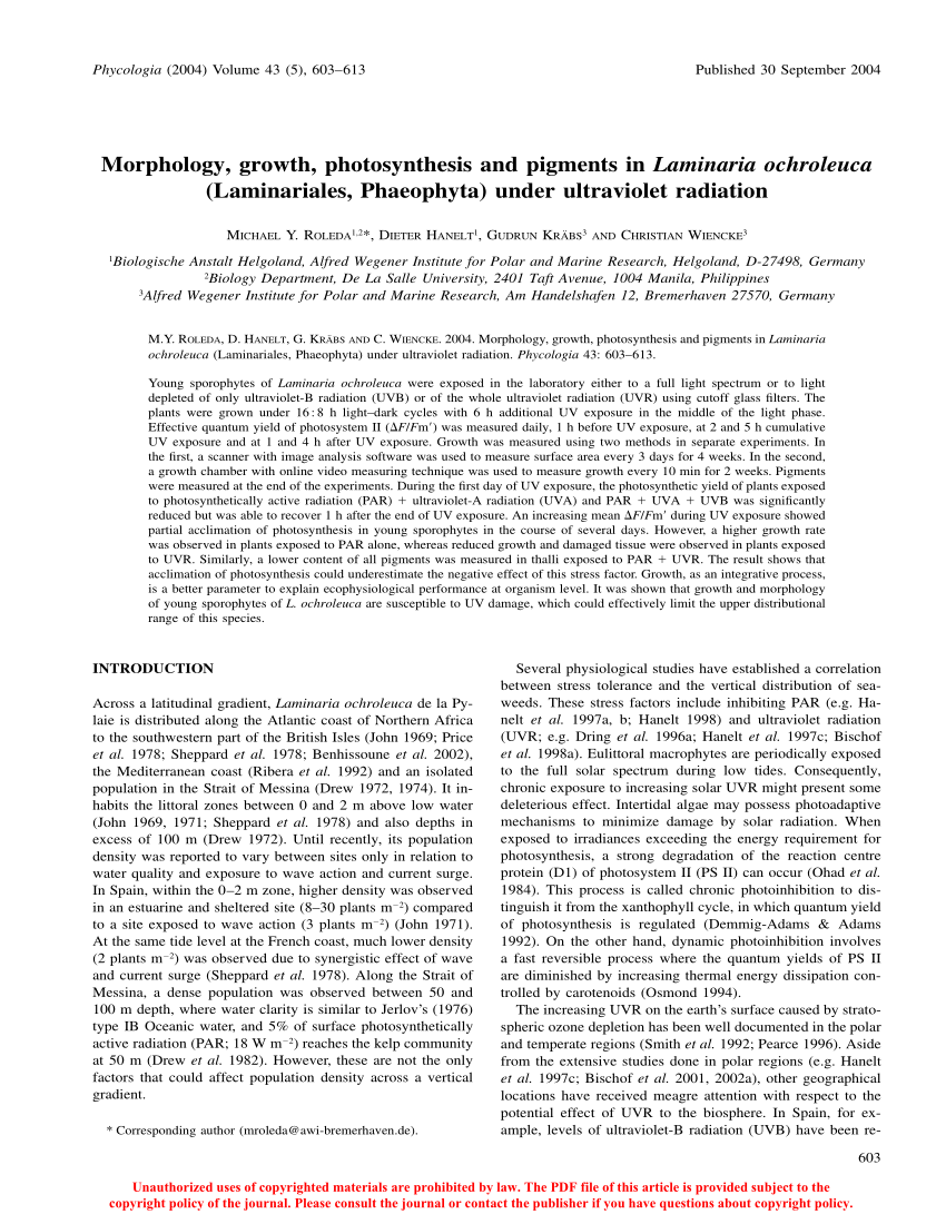 PDF) Morphology, growth, photosynthesis and pigments in Laminaria  ochroleuca (Laminariales, Phaeophyta) under ultraviolet radiation