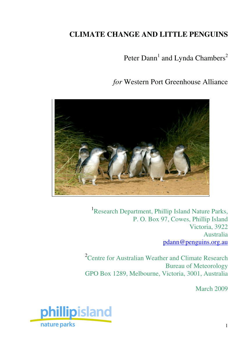 Little Blue Penguins ~ MarineBio Conservation Society