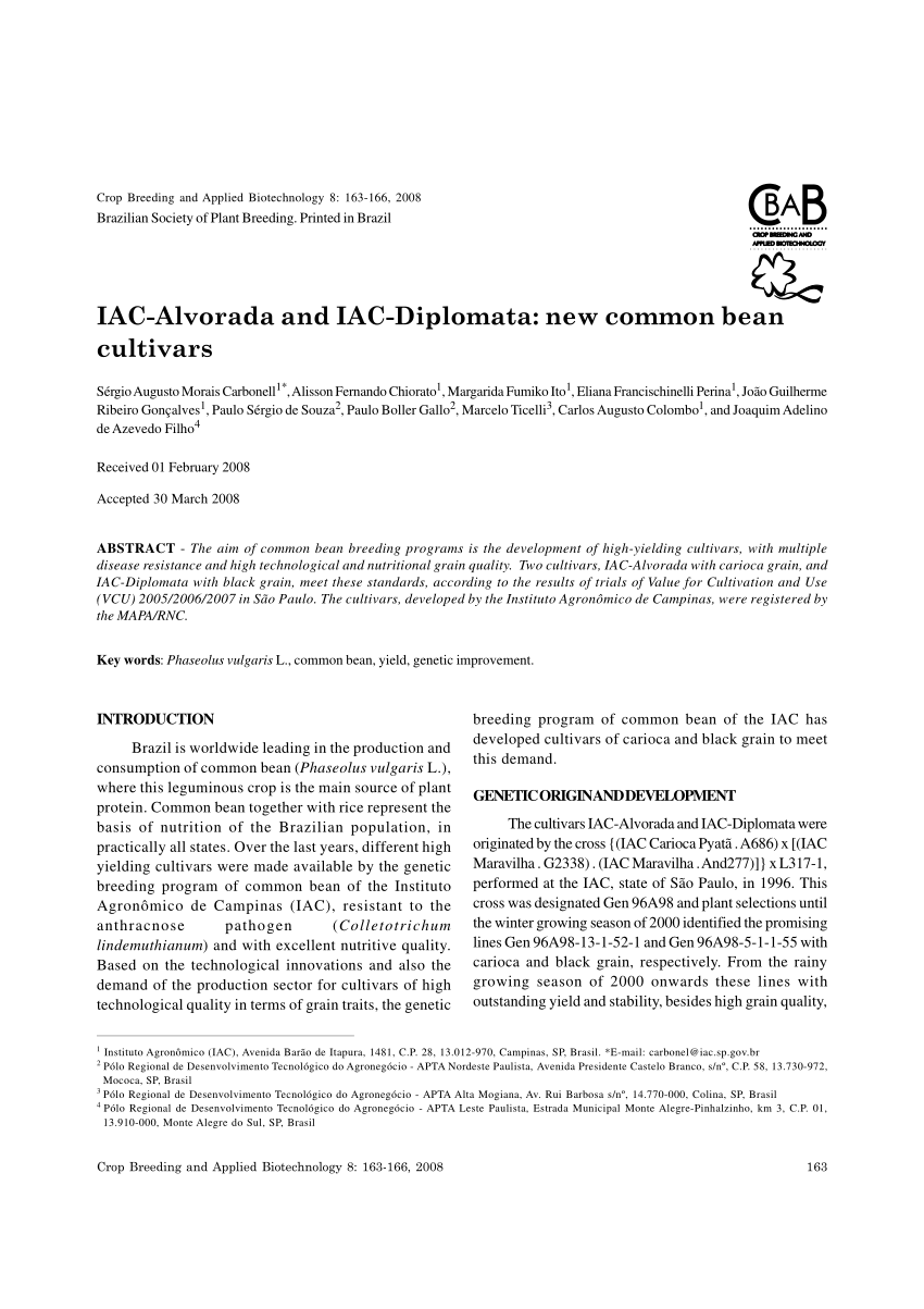 PDF IAC Alvorada and IAC Diplomata new common bean cultivars