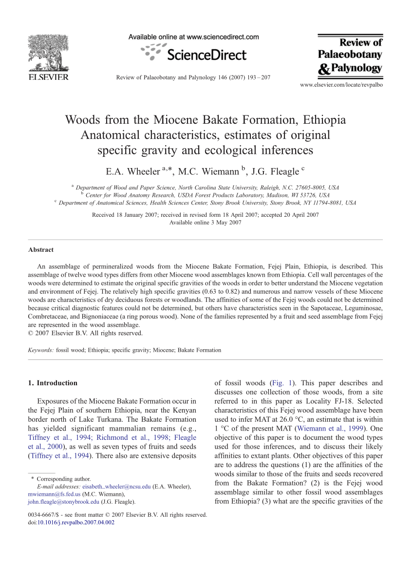 Pdf Woods From The Miocene Bakate Formation Ethiopia Anatomical Characteristics Estimates Of Original Specific Gravity And Ecological Inferences