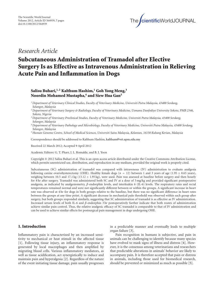 Pdf Subcutaneous Administration Of Tramadol After Elective Surgery Is As Effective As Intravenous Administration In Relieving Acute Pain And Inflammation In Dogs