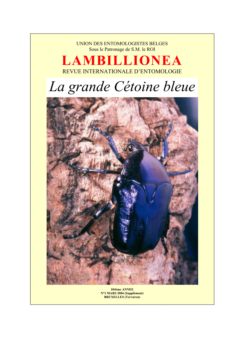 la Cétoine dorée (Cetonia aurata), biologie et développement;