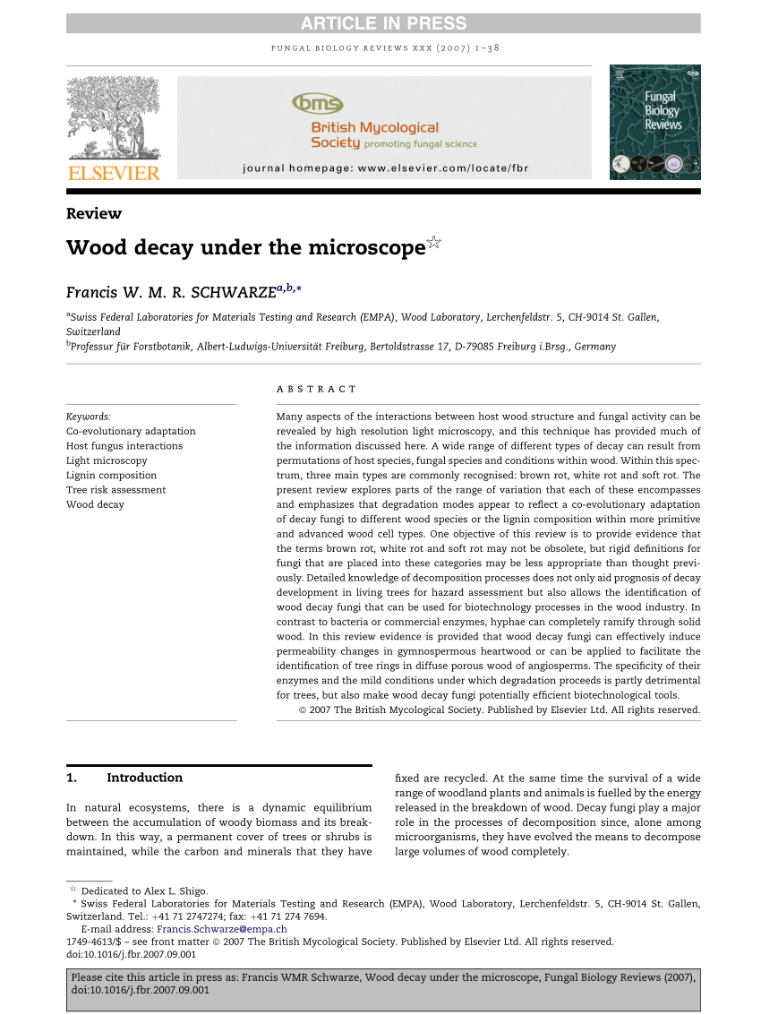 PDF) Wood decay under the microscope