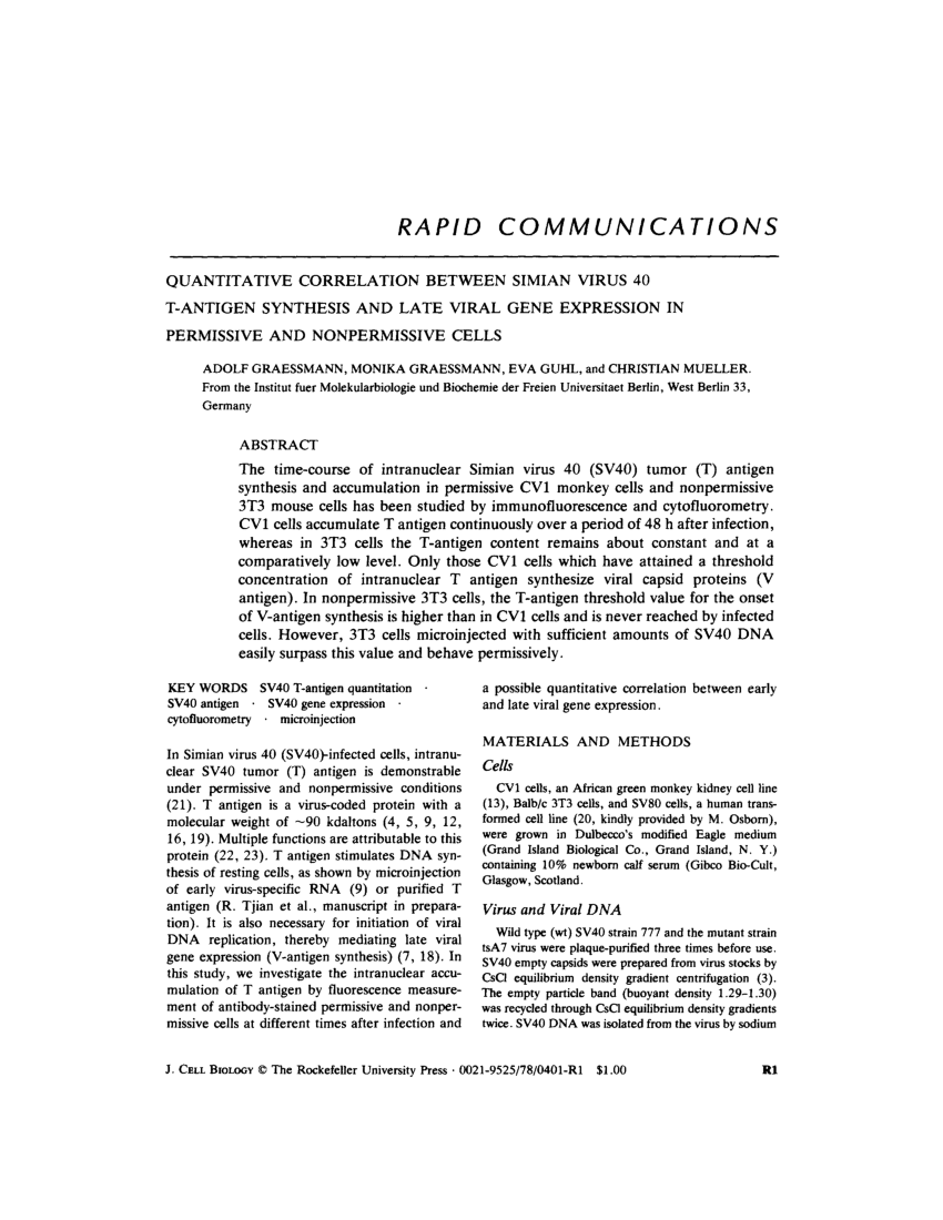 Quantitative correlation between Simian virus 40 T-antigen synthesis