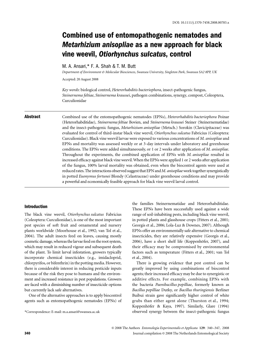 https://i1.rgstatic.net/publication/229576802_Combined_use_of_entomopathogenic_nematodes_and_Metarhizium_anisopliae_as_a_new_approach_for_black_vine_weevil_Otiorhynchus_sulcatus_Coleoptera_Curculionidae_control/links/5caca53b4585158cc21a6400/largepreview.png