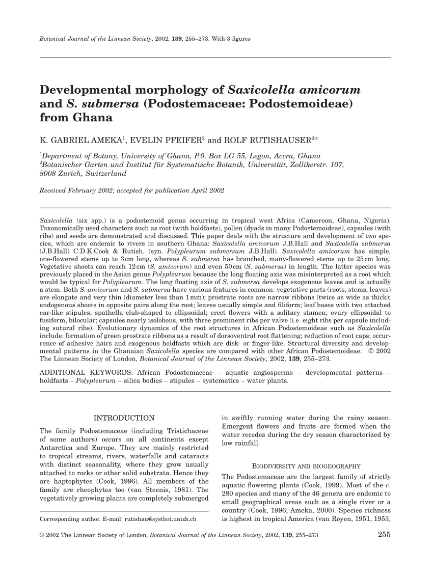 PDF) Developmental morphology of Saxicolella and S. submersa Podostemoideae) from Ghana