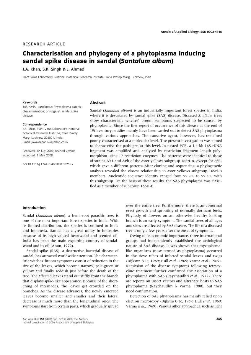 Pathogenic diseases of Indian sandalwood (Santalum album L.), a review |  Journal of Plant Pathology