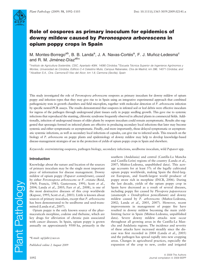 Pdf Role Of Oospores As Primary Inoculum For Epidemics Of Downy Mildew Caused By Peronospora Arborescens In Opium Poppy Crops In Spain