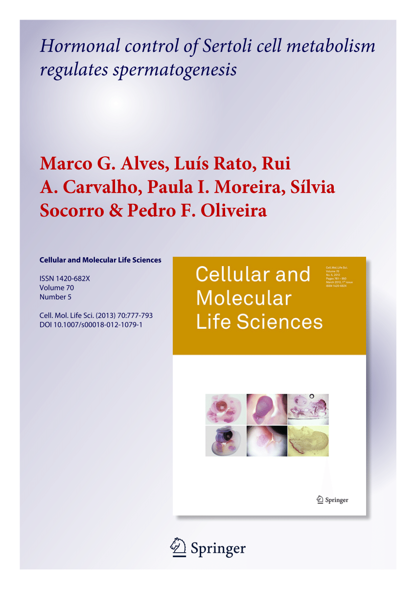 Pdf Hormonal Control Of Sertoli Cell Metabolism Regulates Spermatogenesis