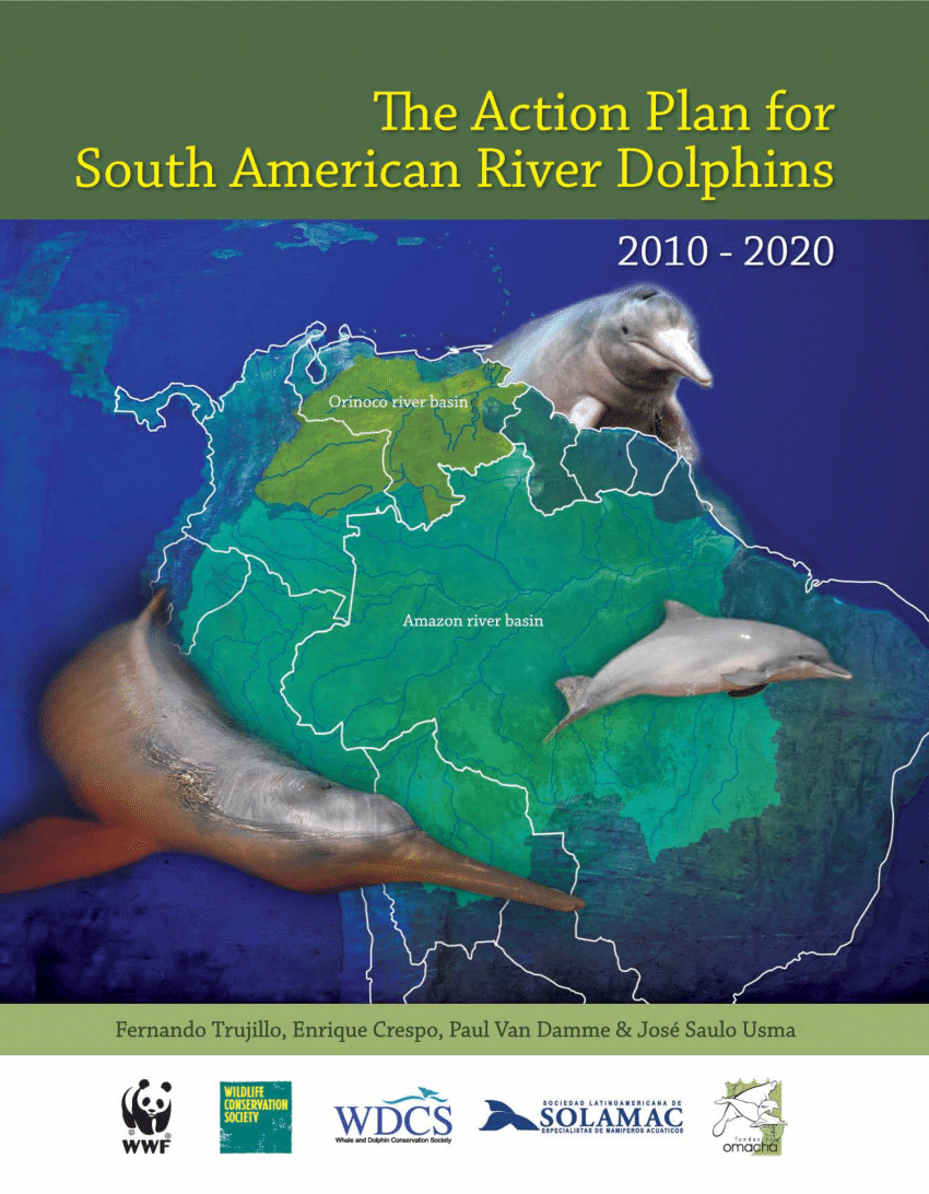 Pdf Conservation Status Of River Dolphins Inia Geoffrensis And Sotalia Fluviatilis In The Amazon And Orinoco Basins In Colombia