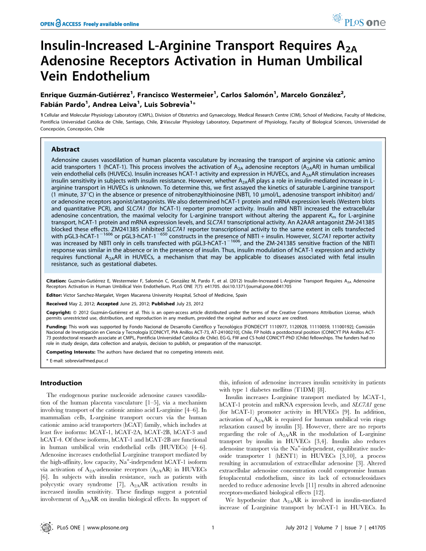 PDF) Insulin-Increased Transport Requires Adenosine Activation in Human Umbilical Vein Endothelium