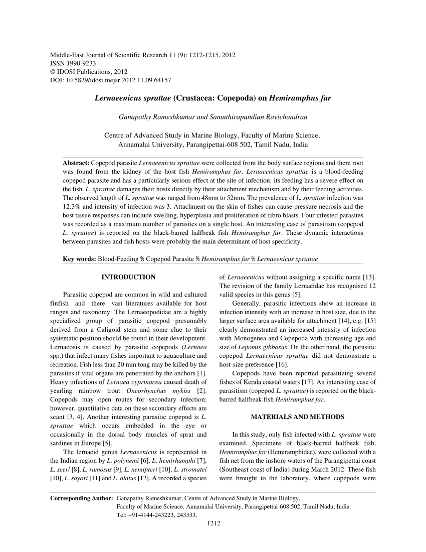 (PDF) Lernaeenicus sprattae (Crustacea: Copepoda) on Hemiramphus far