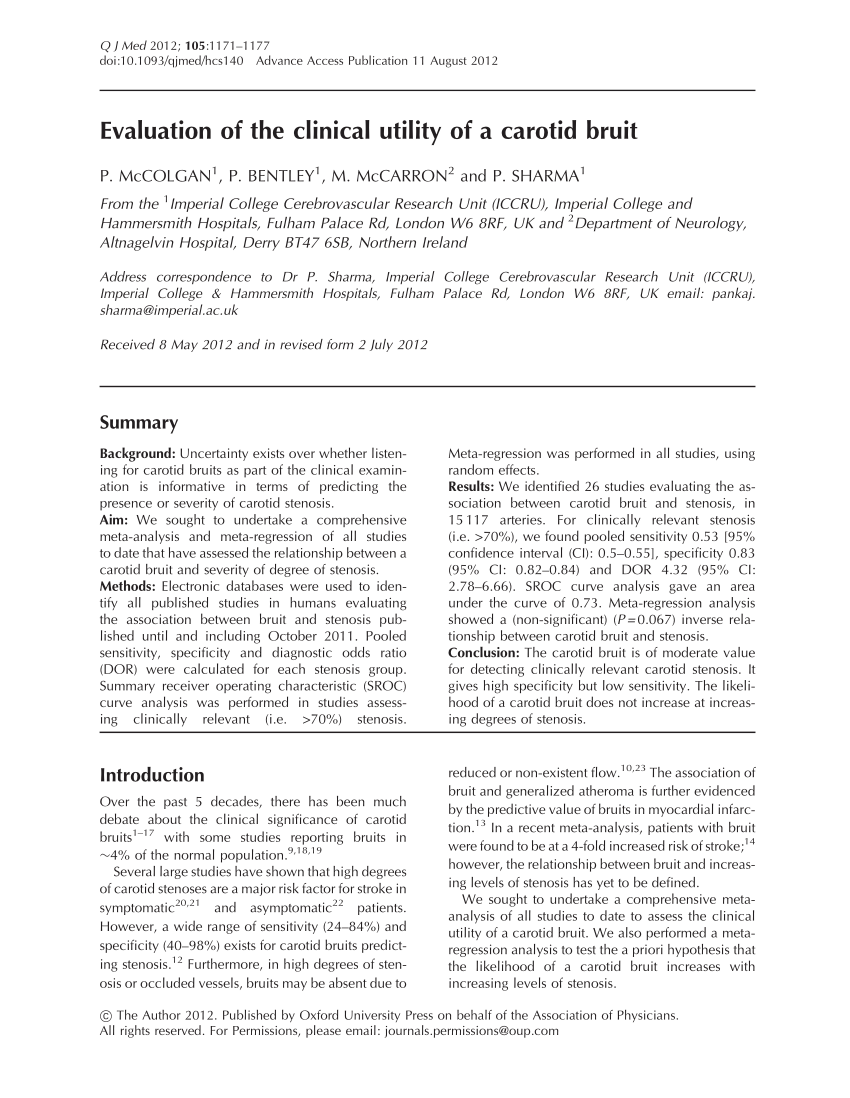 What is the clinical 2025 significance of a bruit