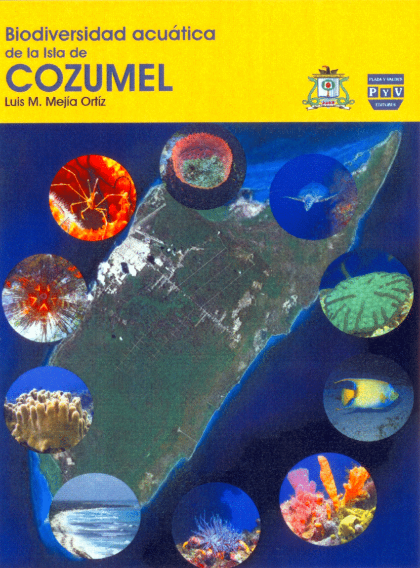PDF) Turismo y biodiversidad en Cozumel... una mirada crítica