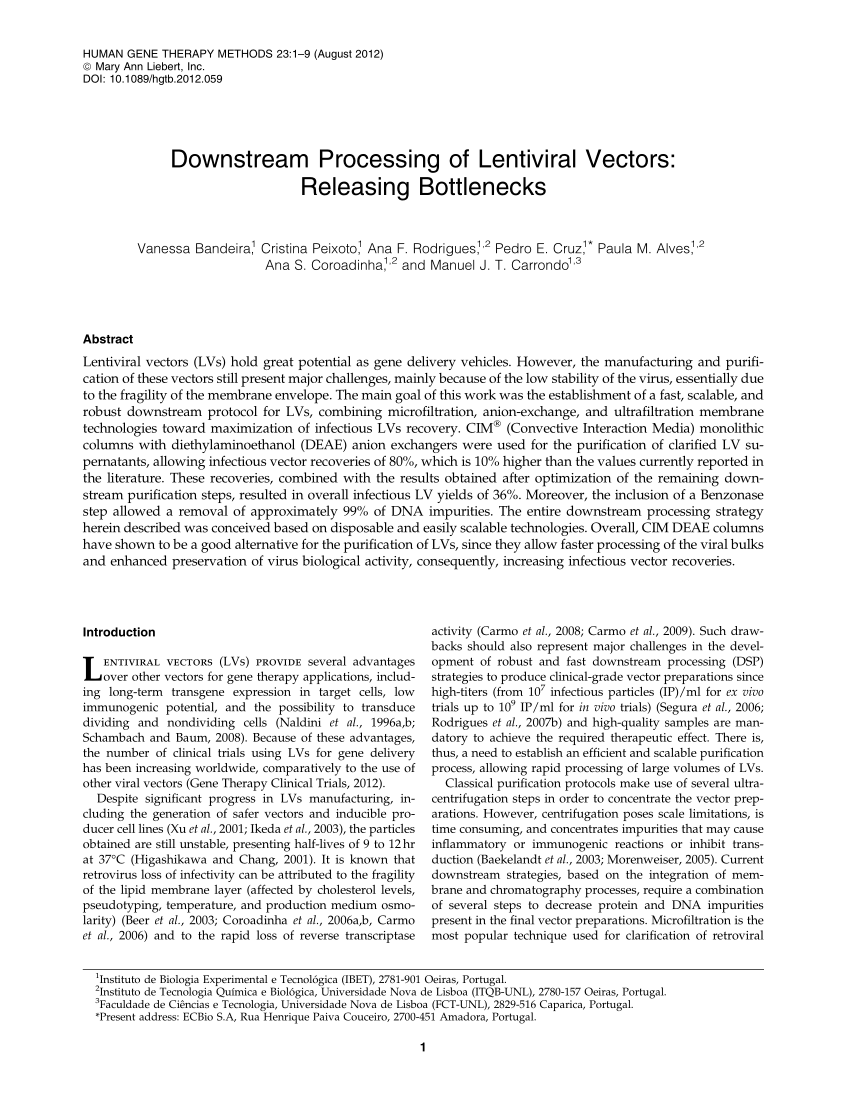 Pdf Downstream Processing Of Lentiviral Vectors Releasing Bottlenecks