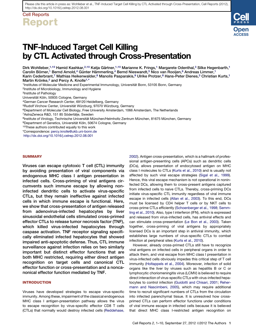 (PDF) TNF-Induced Target Cell Killing by CTL Activated through Cross Sns-Brigh10