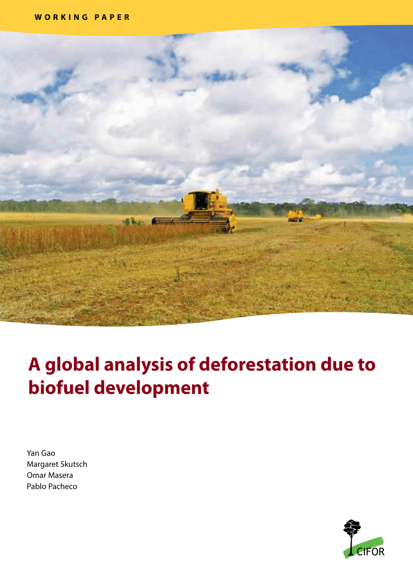 Deforestation Analysis