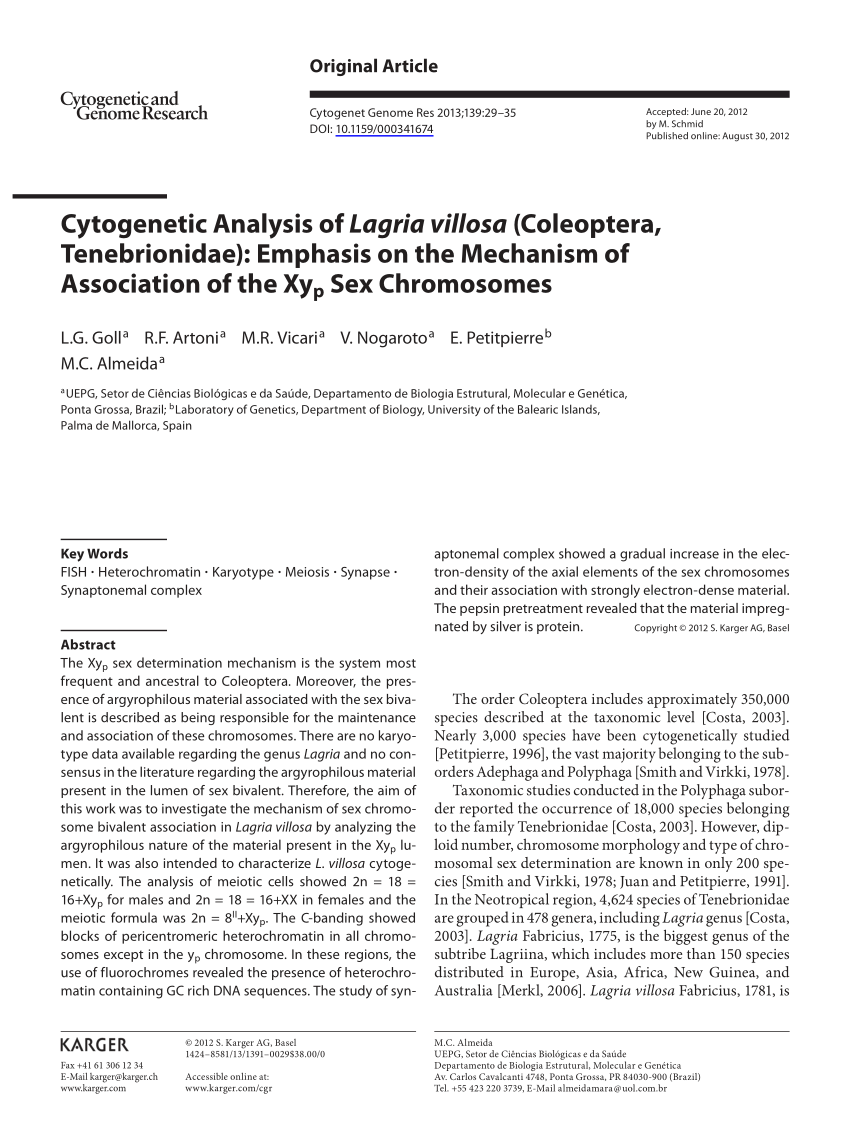 Pdf Cytogenetic Analysis Of Lagria Villosa Coleoptera Tenebrionidae Emphasis On The Mechanism Of Association Of The Xy P Sex Chromosomes
