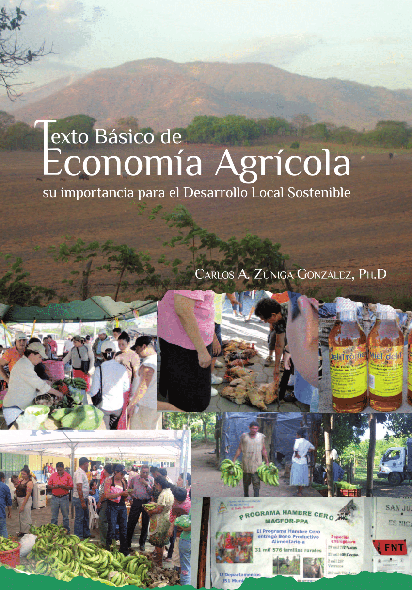 (PDF) Texto Básico de Economia Agrícola: Su importancia para el ...