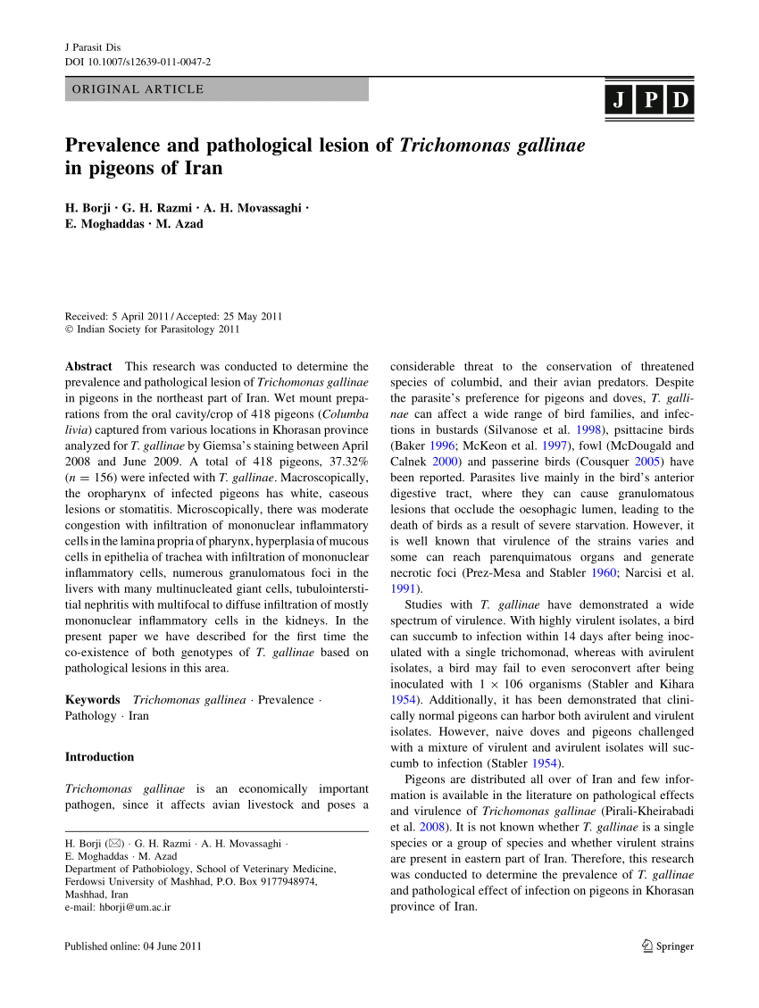 Schizogony Trichomonas Protozoan paraziták trichomoniasis