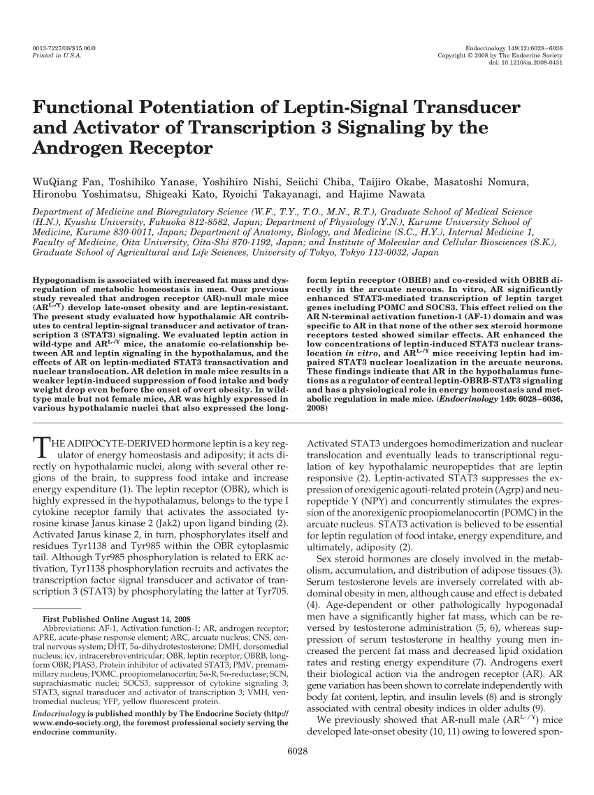 (PDF) Functional Potentiation of LeptinSignal Transducer and Activator