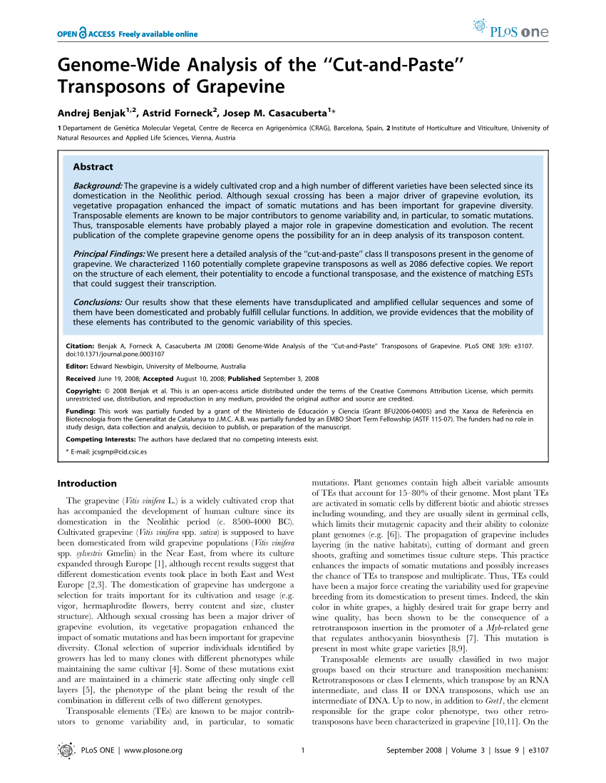 New Guide C-SAC-2215 Files