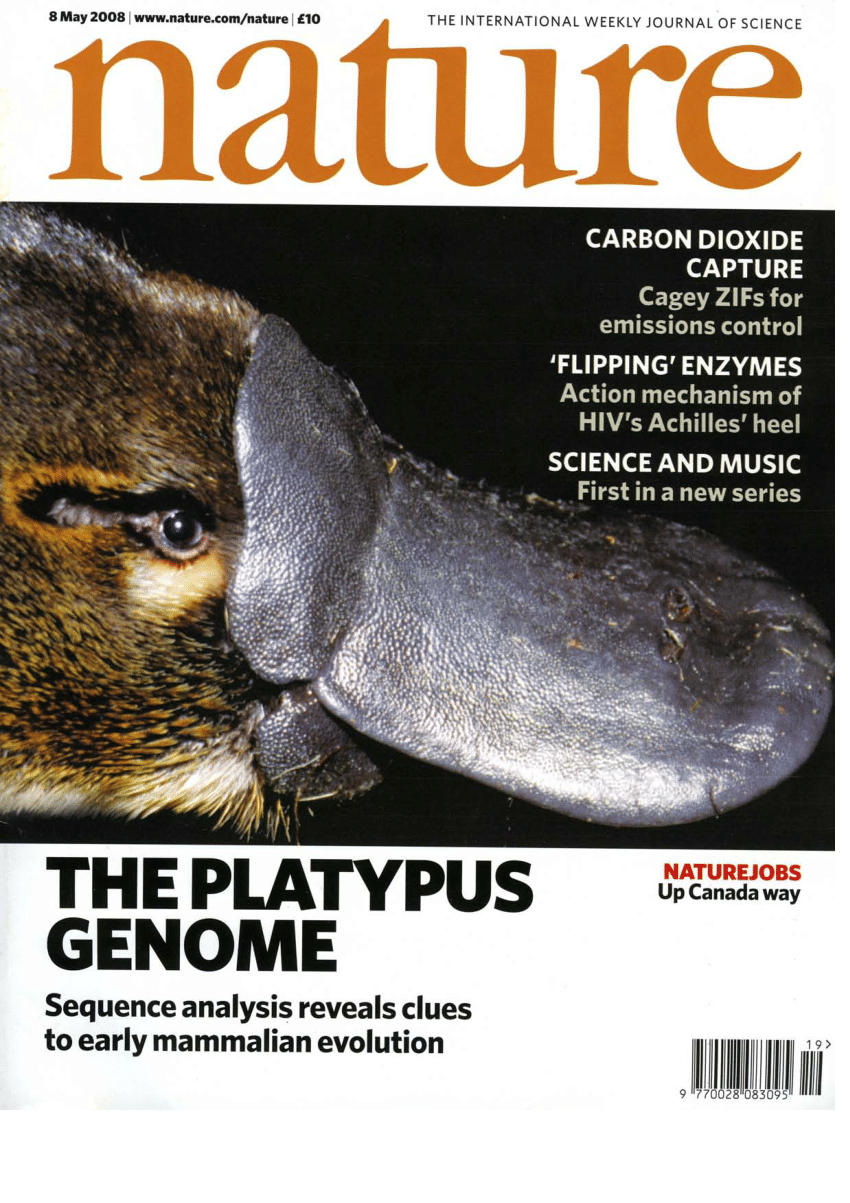platypus evolution ending