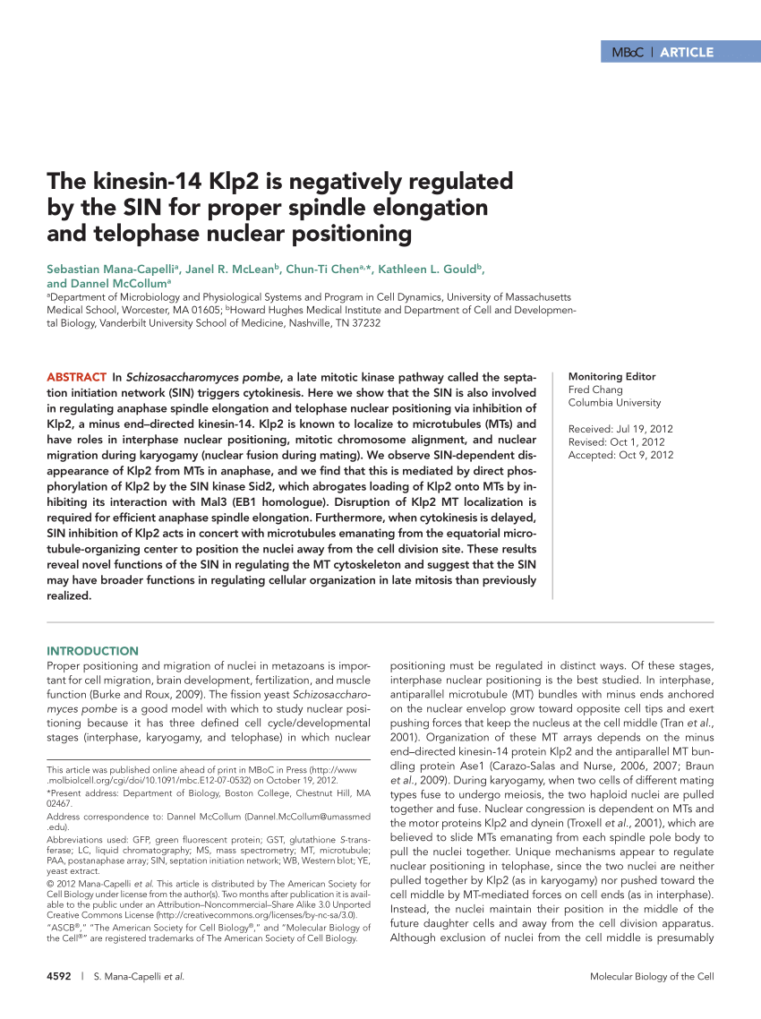 PDF) The kinesin-14 Klp2 is negatively regulated by the SIN for proper spindle elongation and telophase nuclear positioning