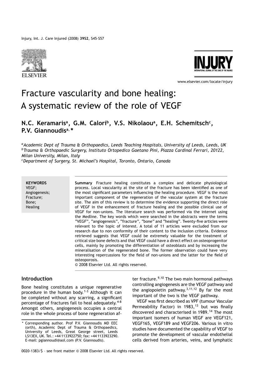 Pdf Fracture Vascularity And Bone Healing A Systematic Review Of