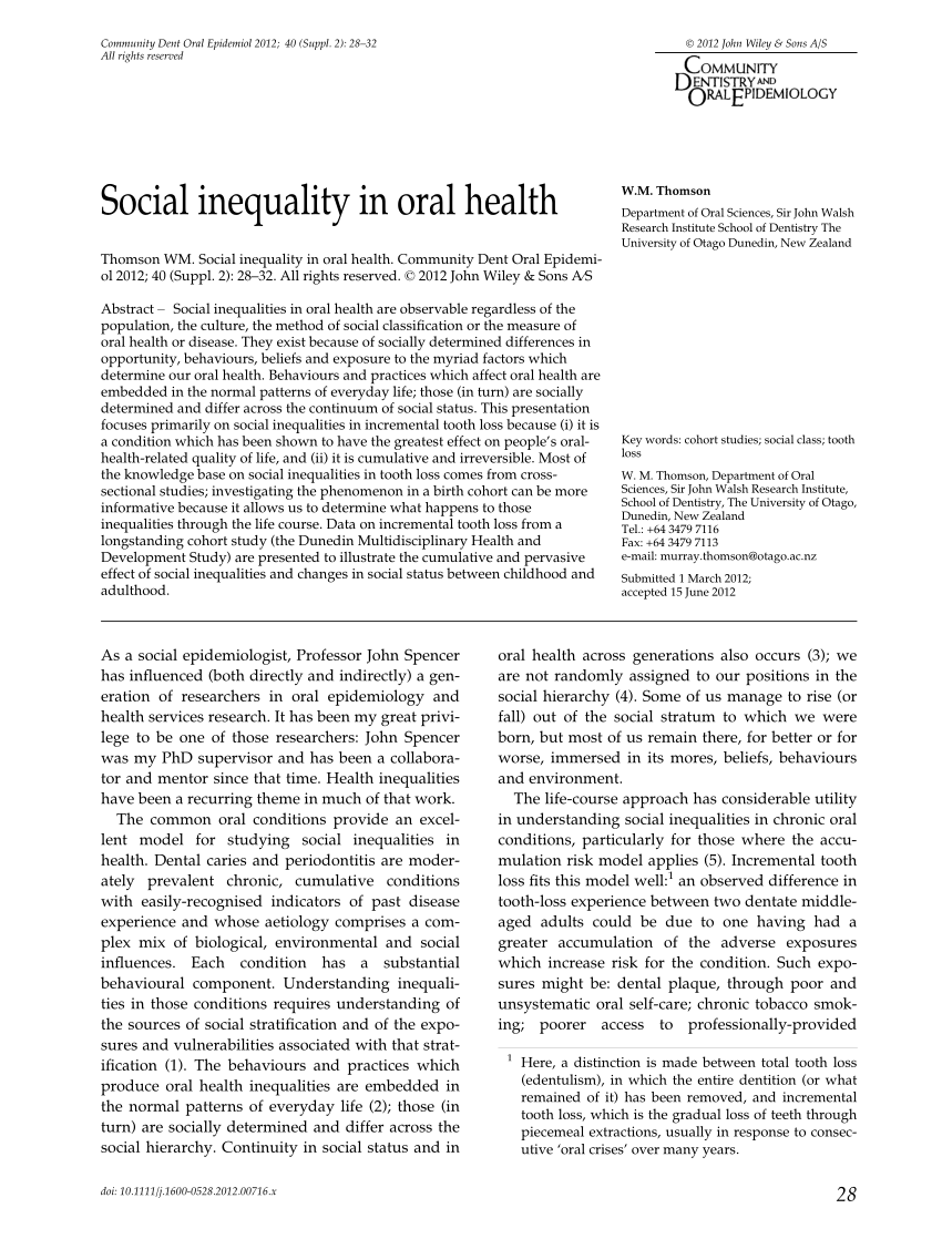 social inequality pdf