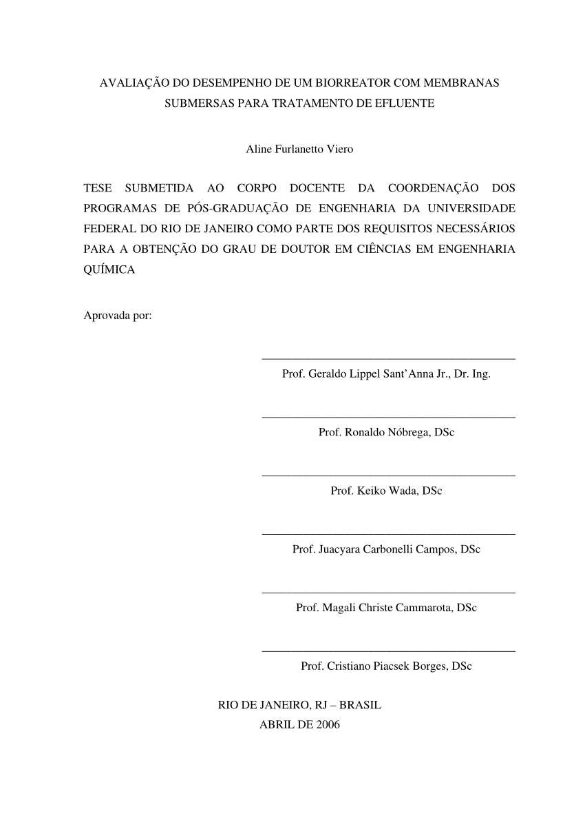 PDF) EFEITO DA GEOMETRIA DA REGIÃO DE MISTURA NO DESEMPENHO DE BIORREATORES  AIRLIFT DE TUBOS CONCÊNTRICOS
