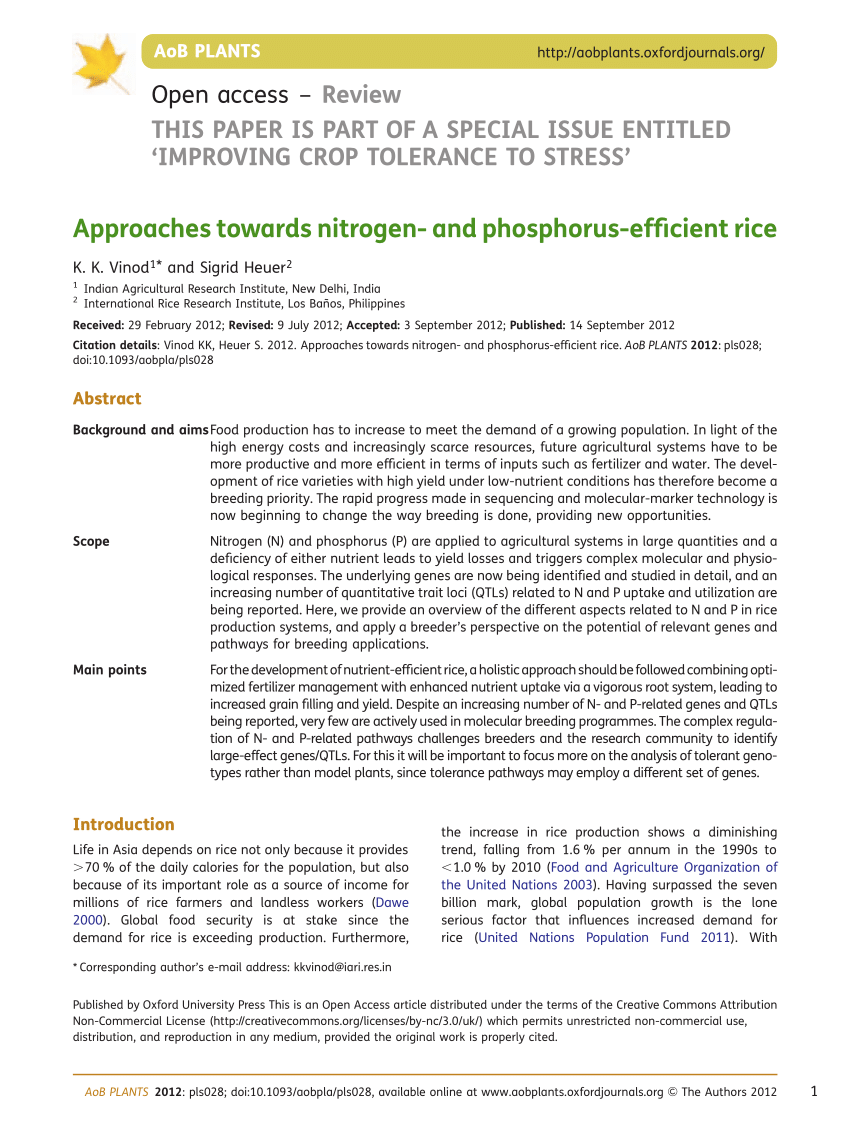 PDF) Approaches towards nitrogen- and phosphorus-efficient rice