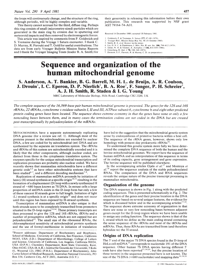 Pdf Sequence And Organization Of The Human Mitochondrial Genome