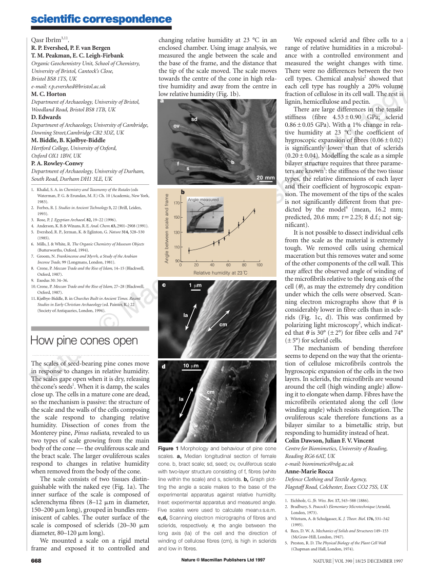 (PDF) How pine cones open