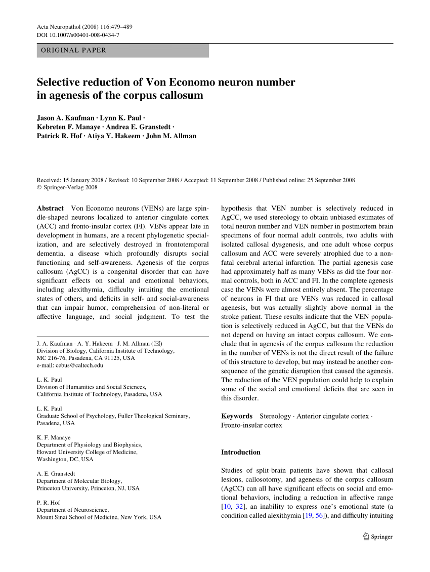 Pdf Selective Reduction Of Von Economo Neuron Number In Agenesis Of The Corpus Callosum