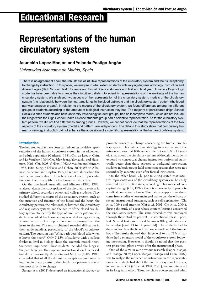 circulatory system essay