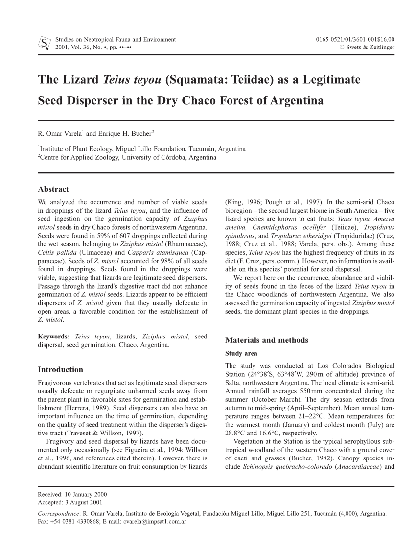 PDF) The Lizard Teius teyou (Squamata: Teiidae) as a Legitimate