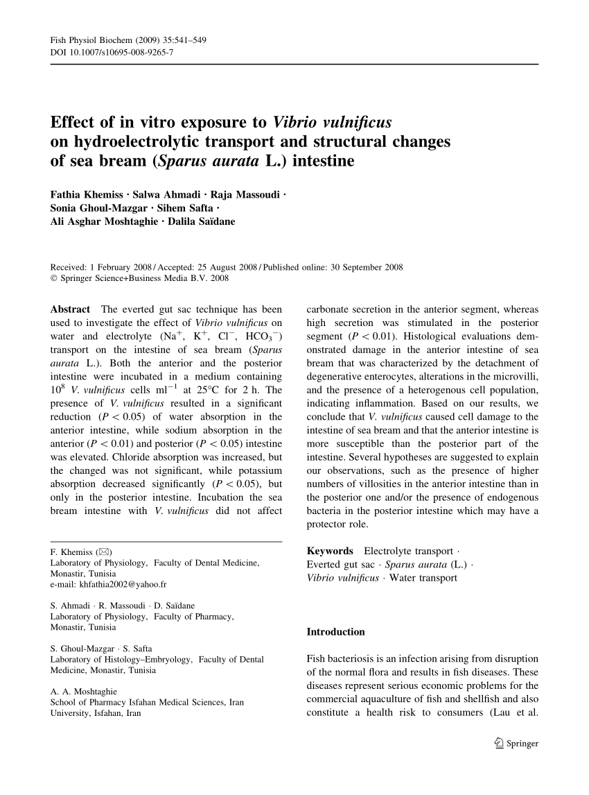 Biomineralization in the Toadfish microbiome