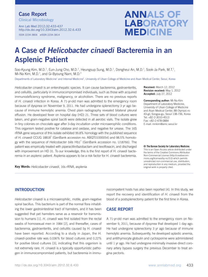 Pdf A Case Of Helicobacter Cinaedi Bacteremia In An Asplenic Patient