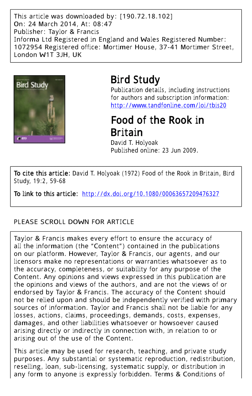 Rook - Description, Habitat, Image, Diet, and Interesting Facts
