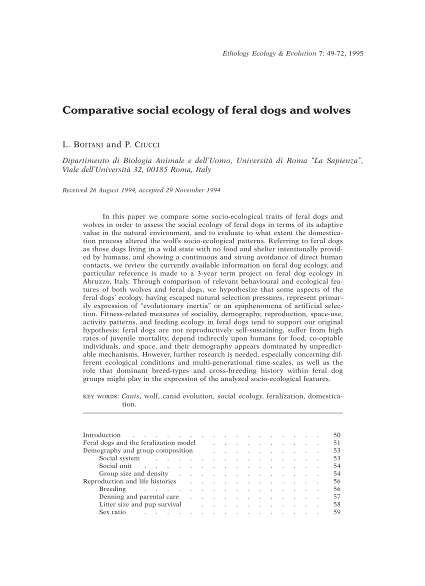 Pdf Comparative Social Ecology Of Feral Dogs And Wolves