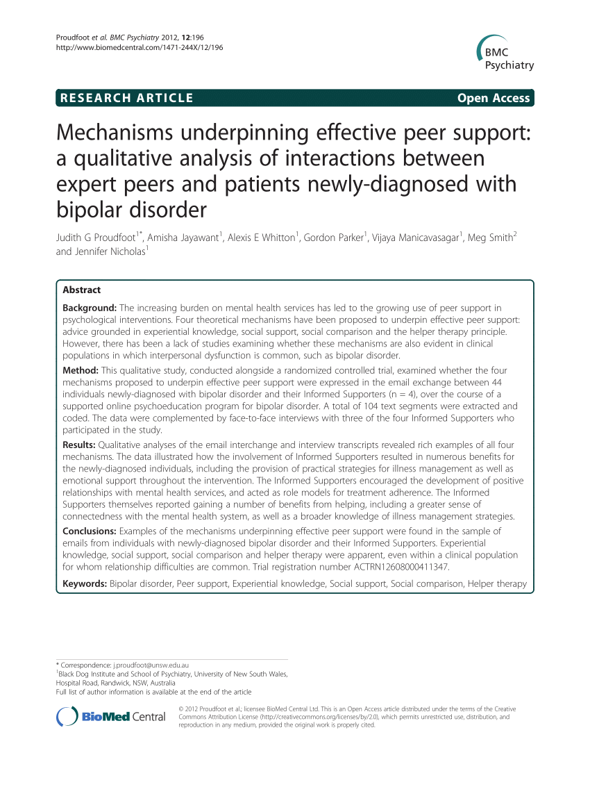 the mechanisms underpinning peer support a literature review