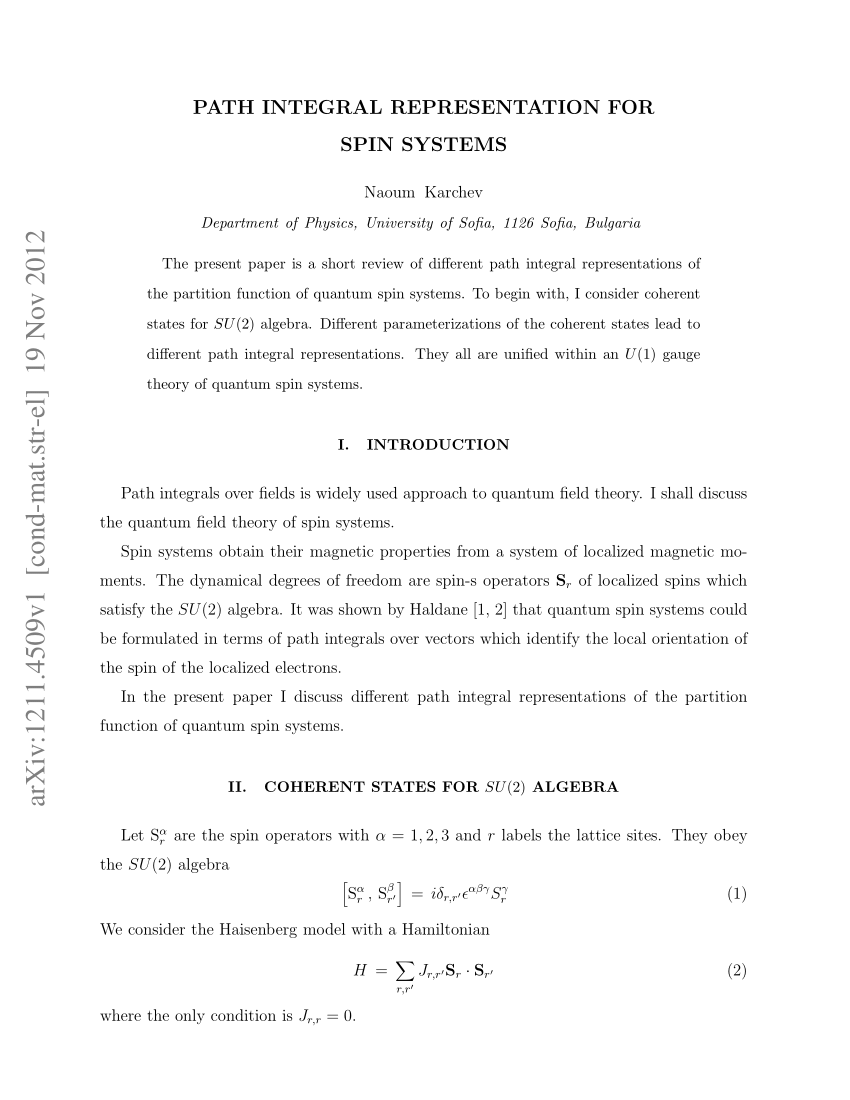 PDF) Path integral representation for spin systens