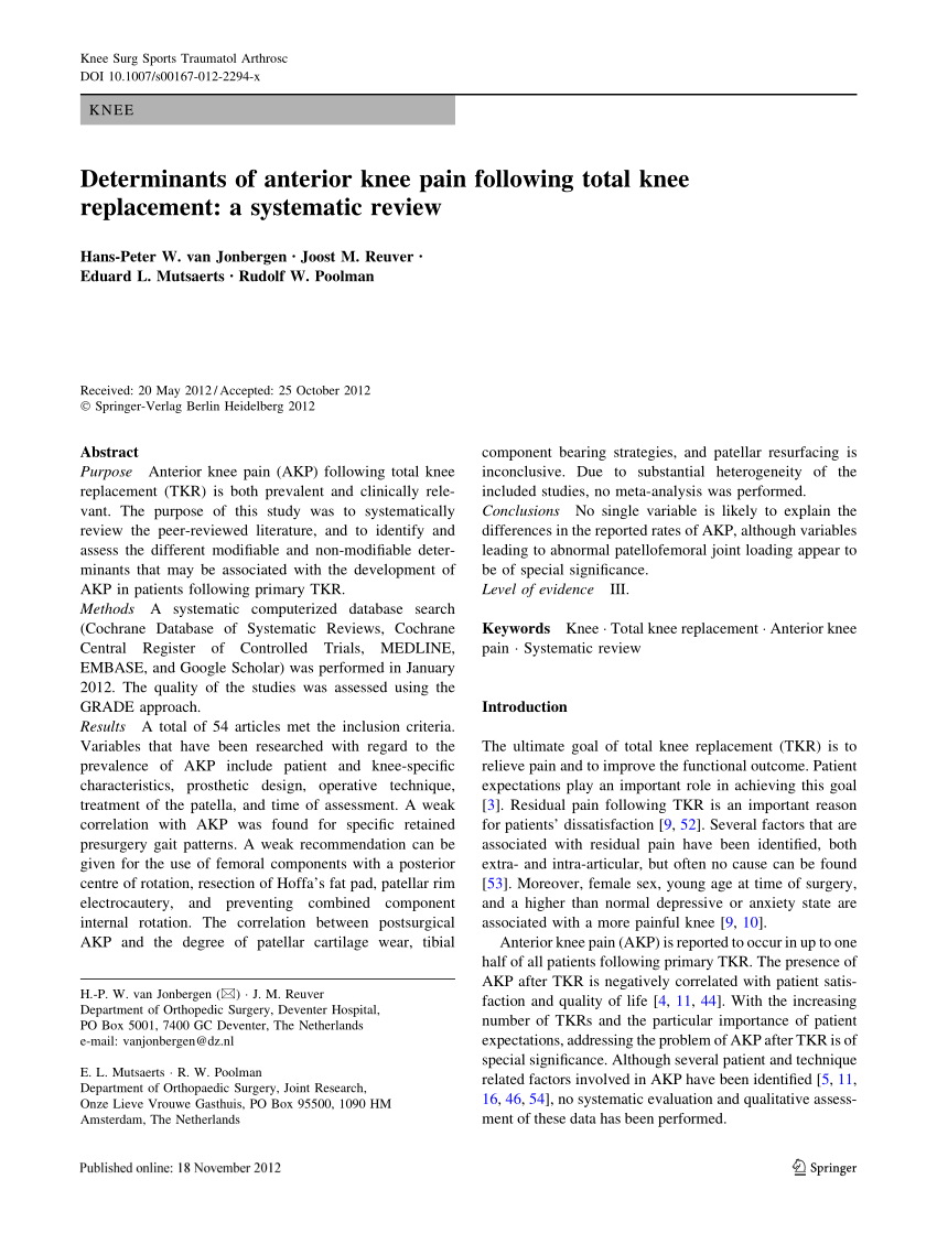 literature review on knee pain