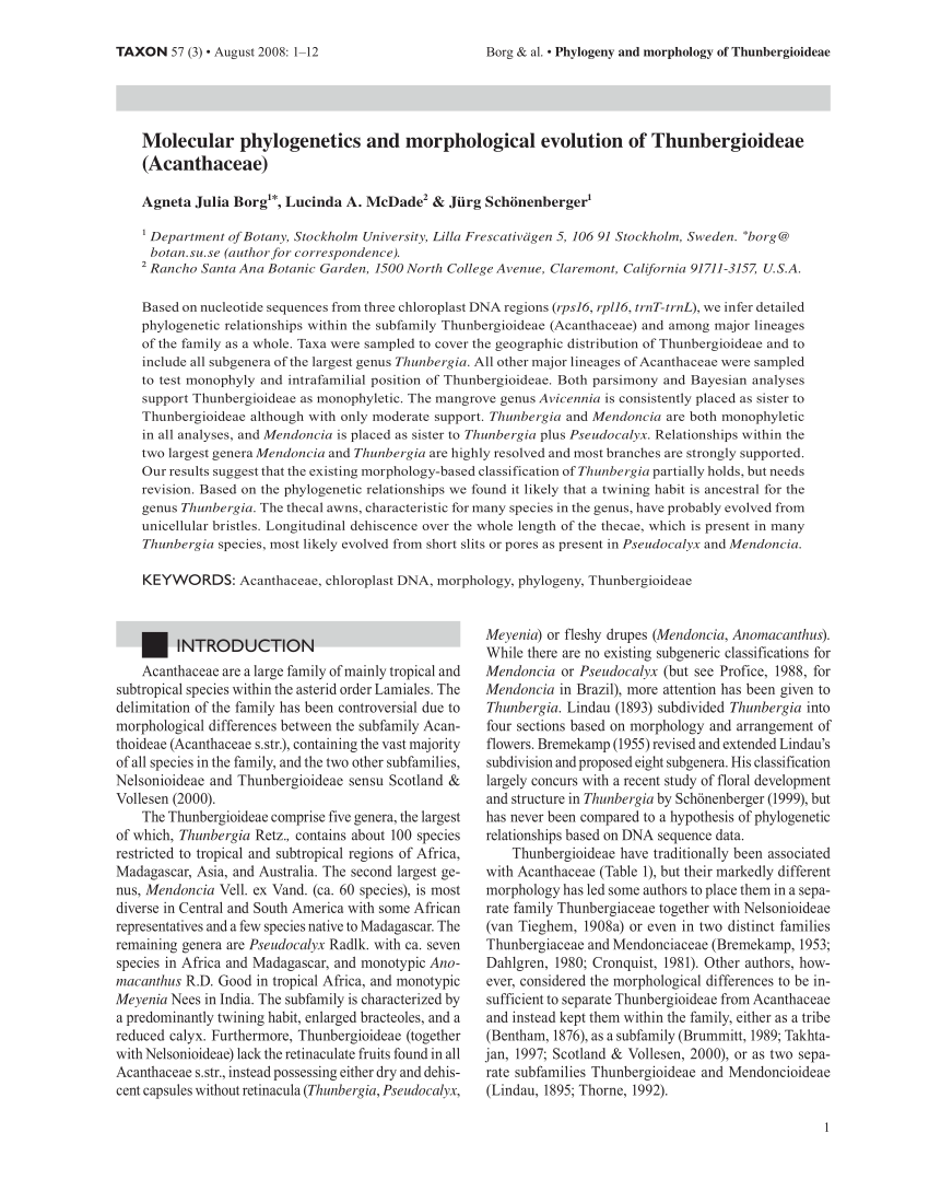 Pdf Molecular Phylogenetics And Morphological Evolution Of Thunbergioideae Acanthaceae