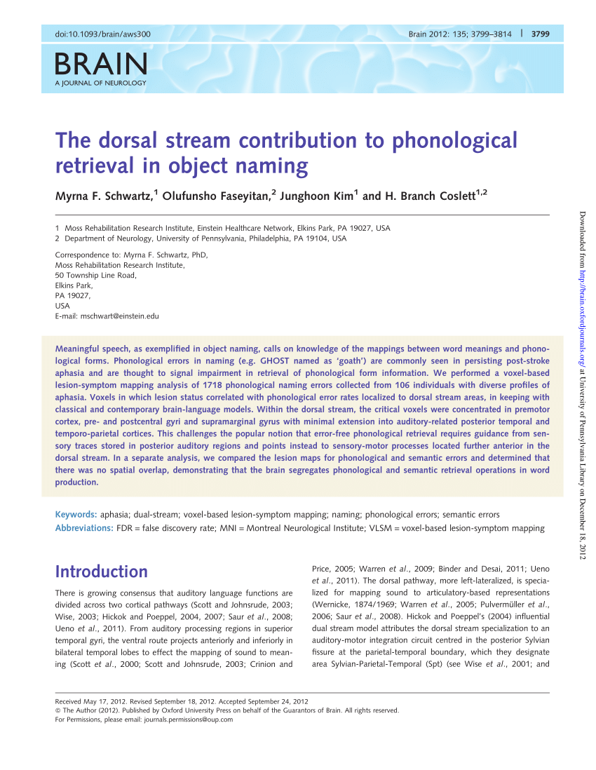 Pdf The Dorsal Stream Contribution To Phonological Retrieval In Object Naming